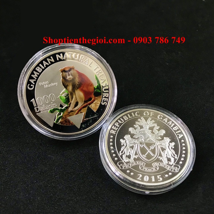 Xu hình con Khỉ Gambia 1000 Dalasis 2015 - SP005213